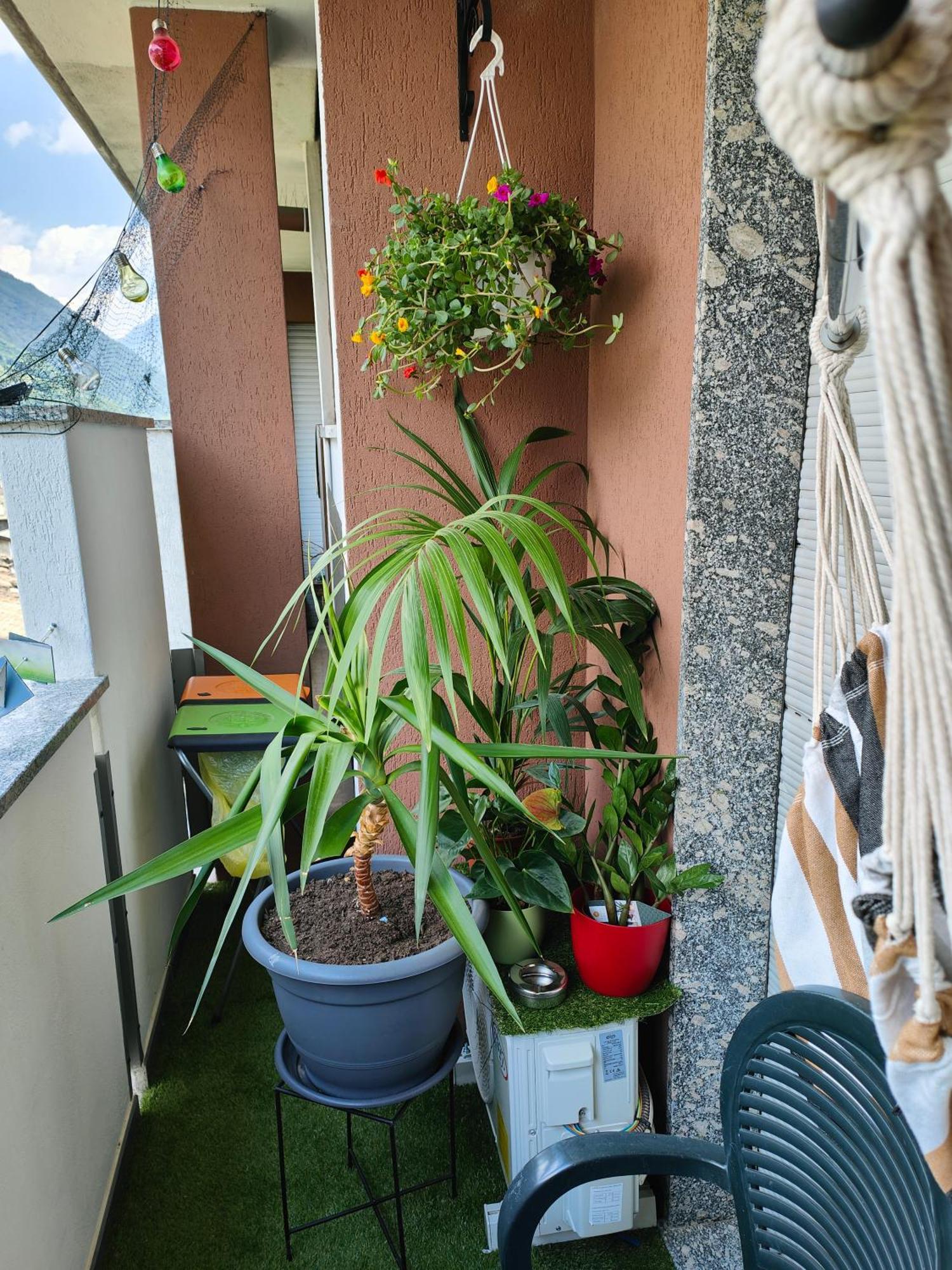 Alfiume B Apartment Tirano Exterior photo